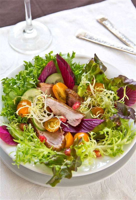 Smoked duck with fresh vegetables salad, stock photo