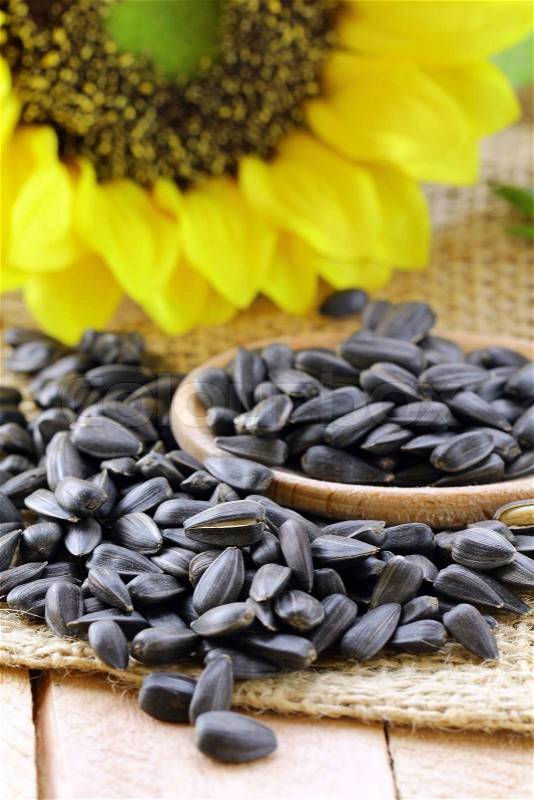 Sunflower seeds with a flower, stock photo