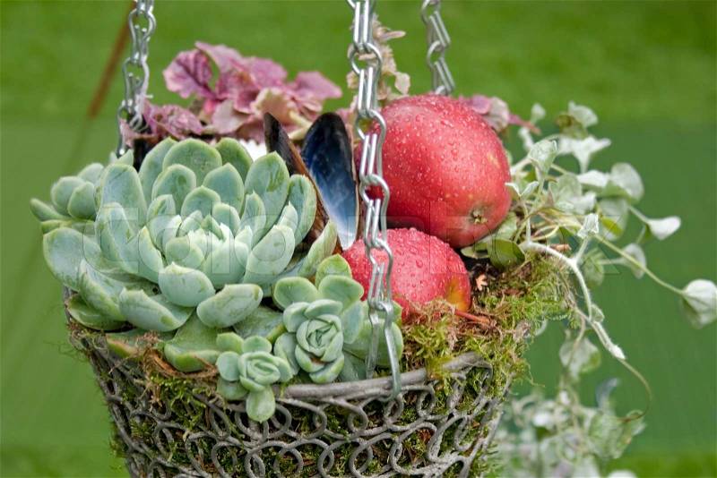 Autumnal Decorational hanging basket, stock photo