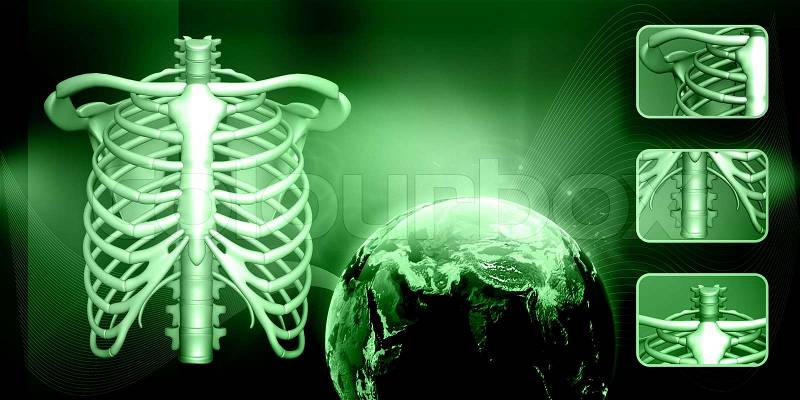 Human body rib cage in abstract background, stock photo