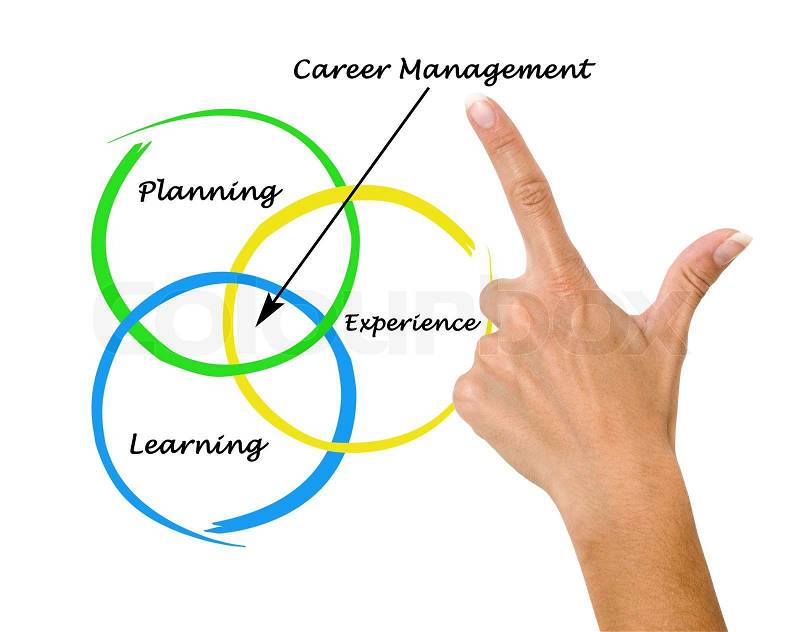 Diagram of career management, stock photo