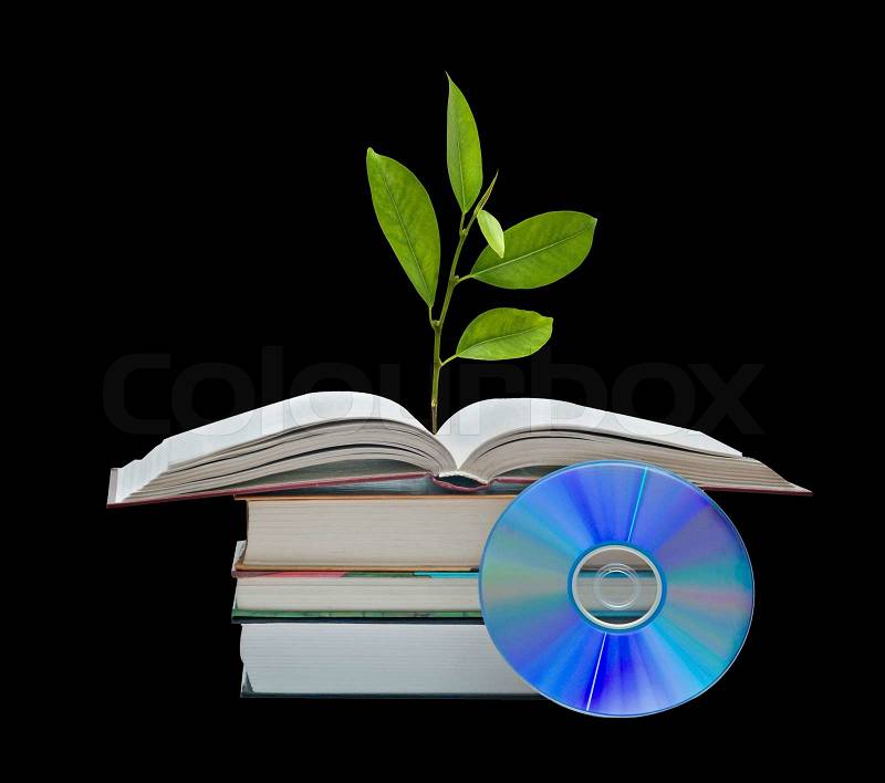Sapling growing from book, stock photo