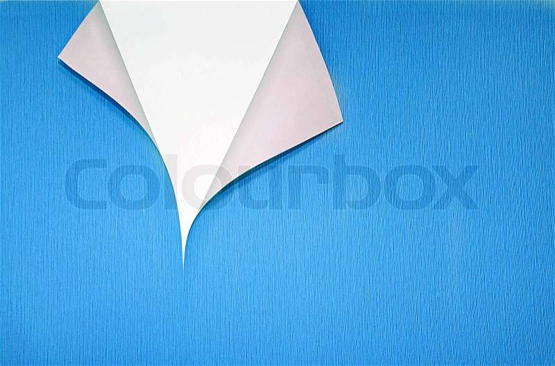 Paper with curled corner and copyspace, stock photo