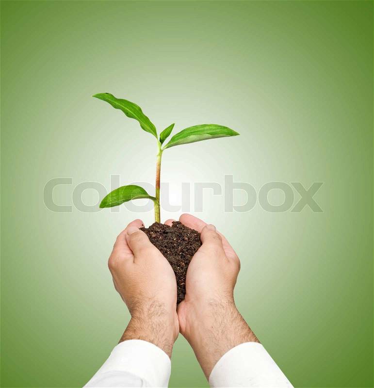 Sprout in palms as a symbol of nature protection, stock photo