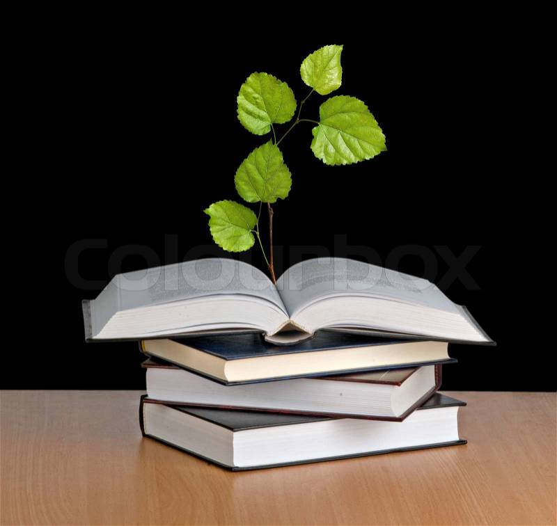 Seedling growing from an open book, stock photo