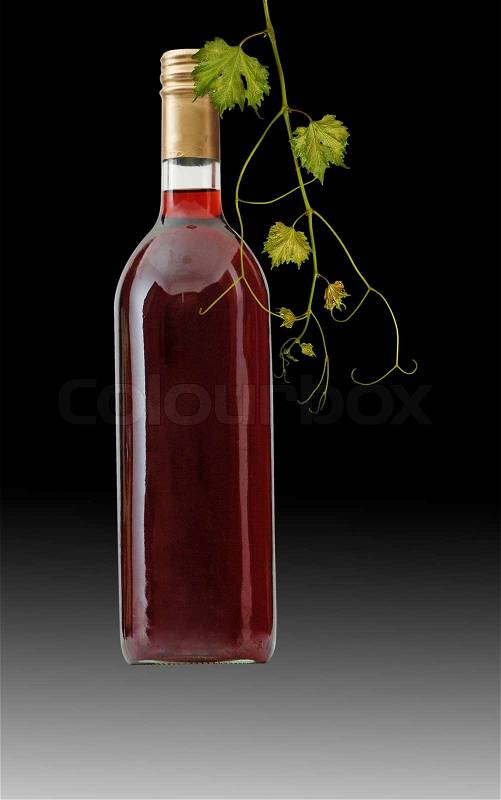Bottle of red wine with vine, stock photo