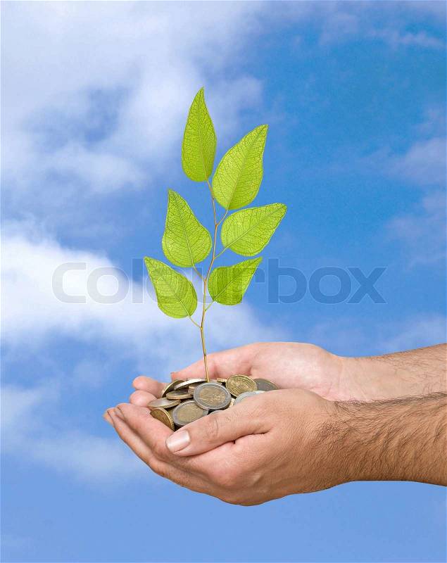 Hands with a tree growing from pile of coins, stock photo