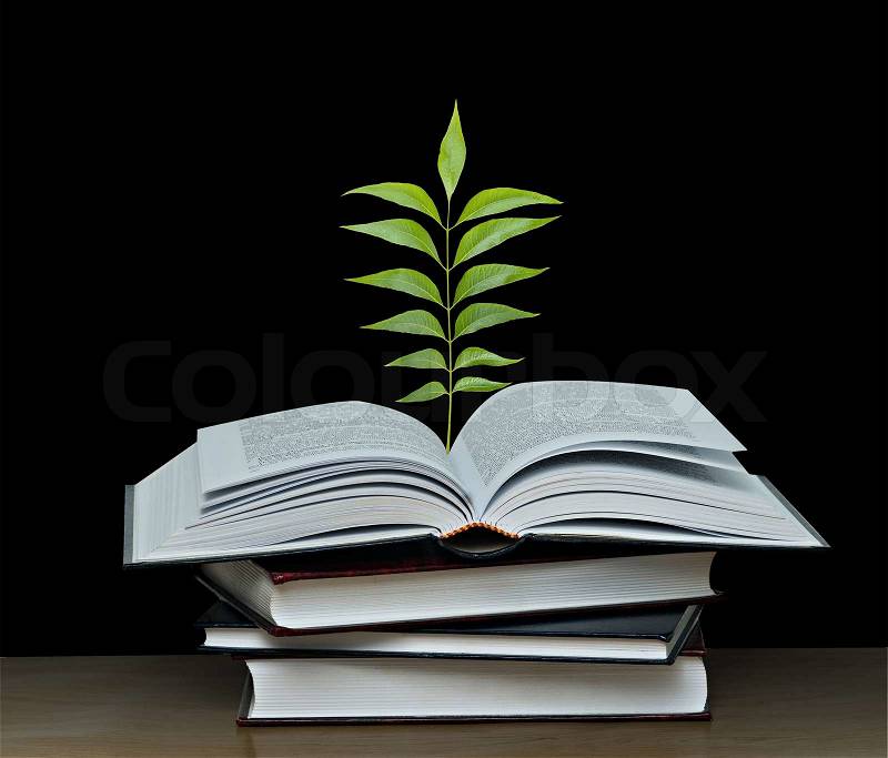 Tree growing from open book, stock photo