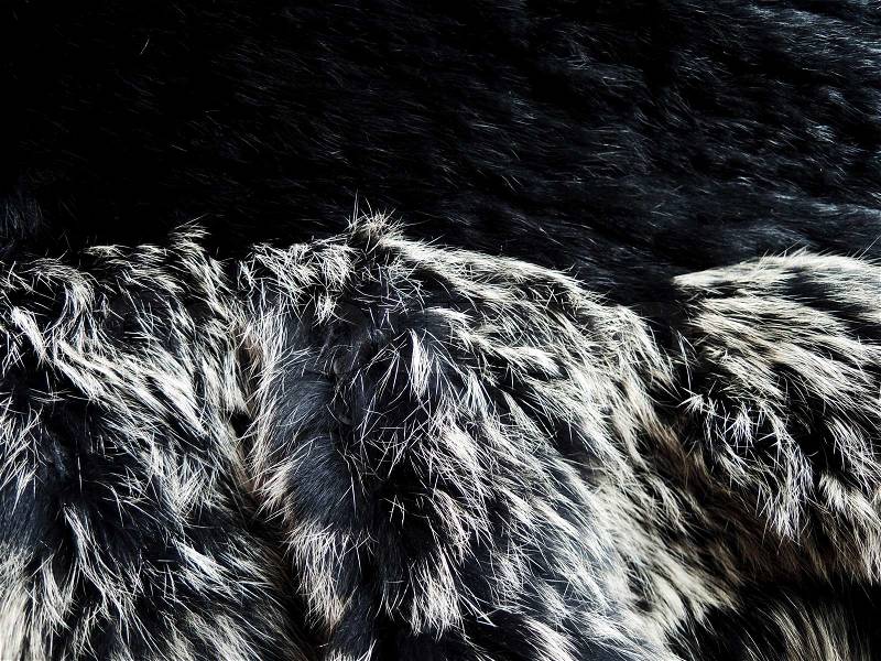 Black and White Animal Fur Background, stock photo