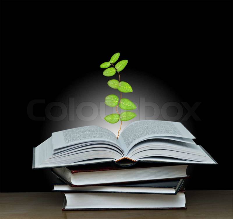 Vine growing from open book, stock photo
