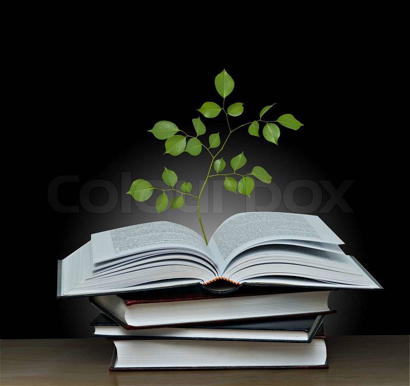Tree growing from open book, stock photo