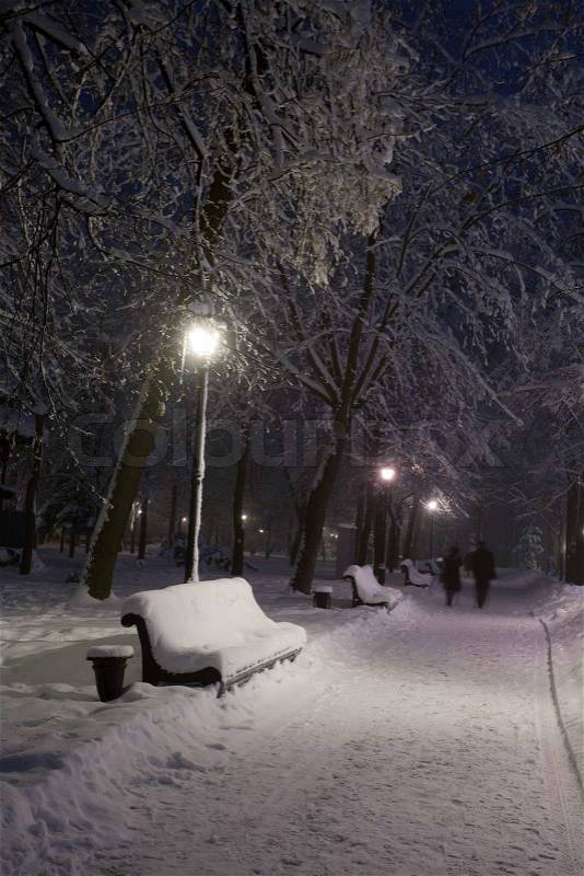 Park covered with snow at night, stock photo