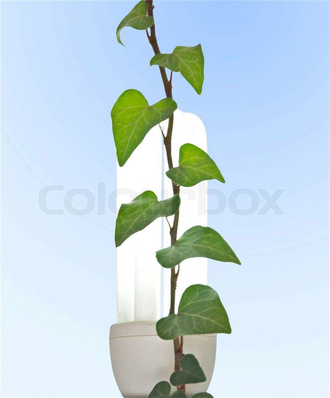 Energy-saving lamp with green plant as a symbol of green technologies, stock photo