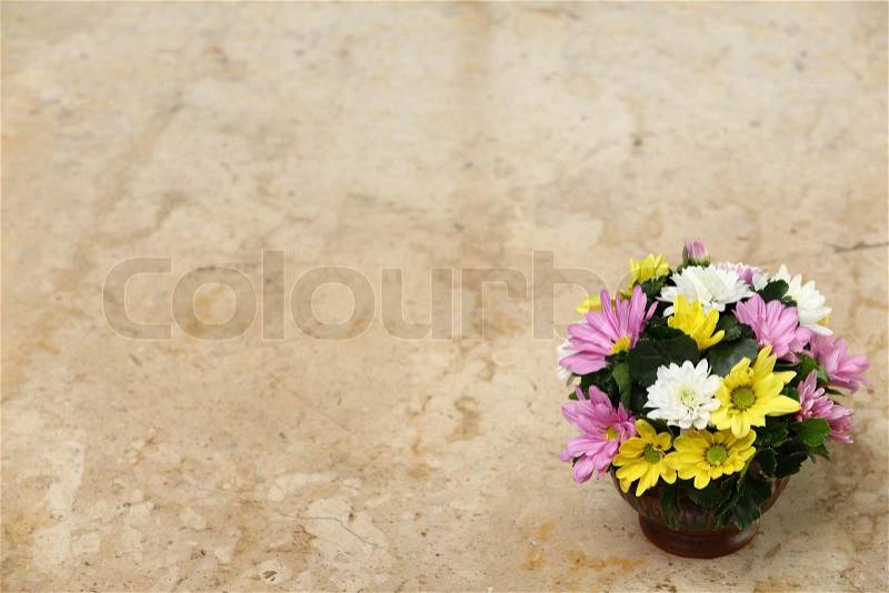 Flower on marble table, stock photo