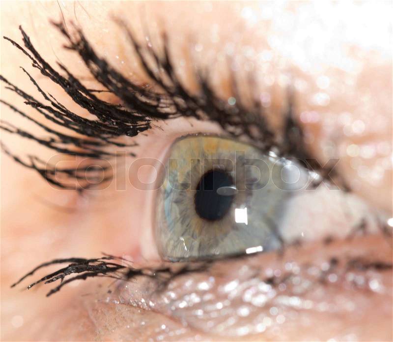 Macro image of human eye, stock photo