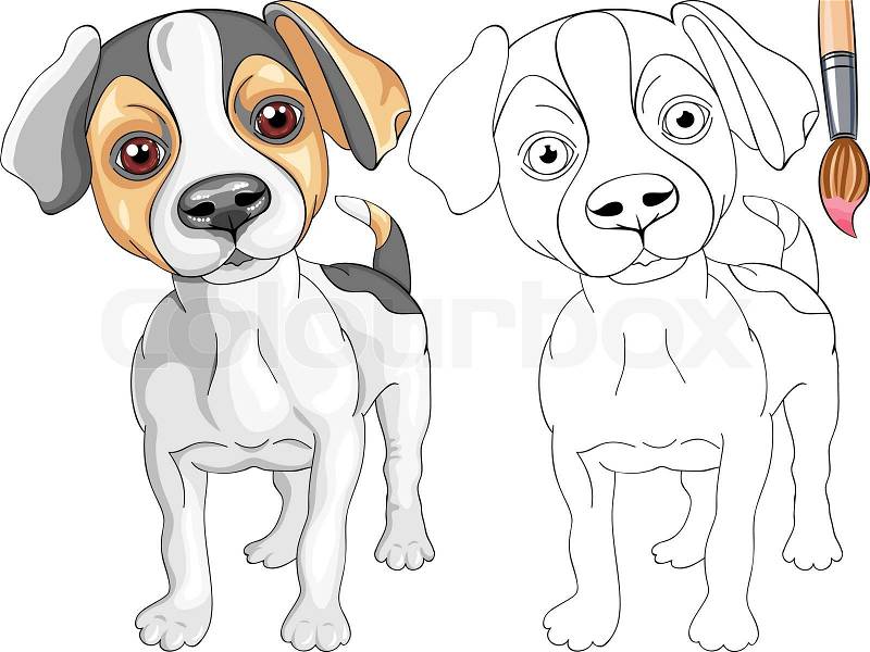 jack russell coloring pages - photo #41