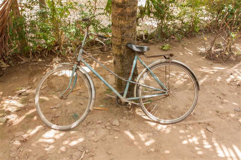Abandoned bike near a tree, stock photo
