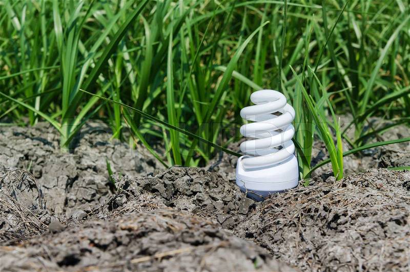 Concept light bulb between drought land and green grass, stock photo