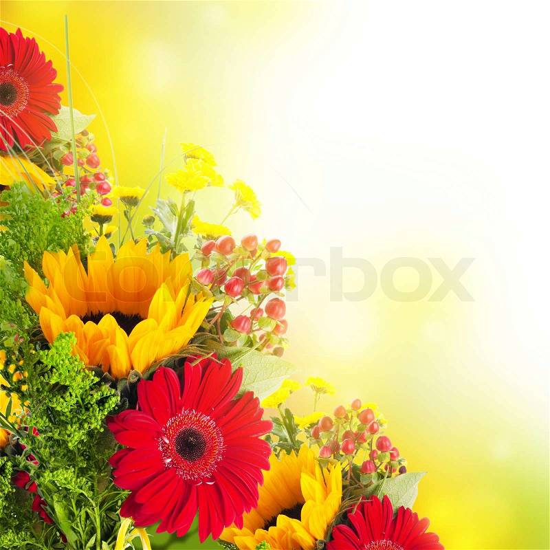 Autumn flowers, bouquet from gerber and sunflowers, stock photo