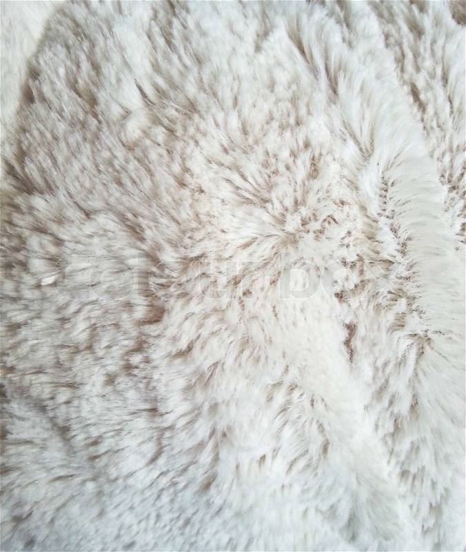 White fur texture, stock photo