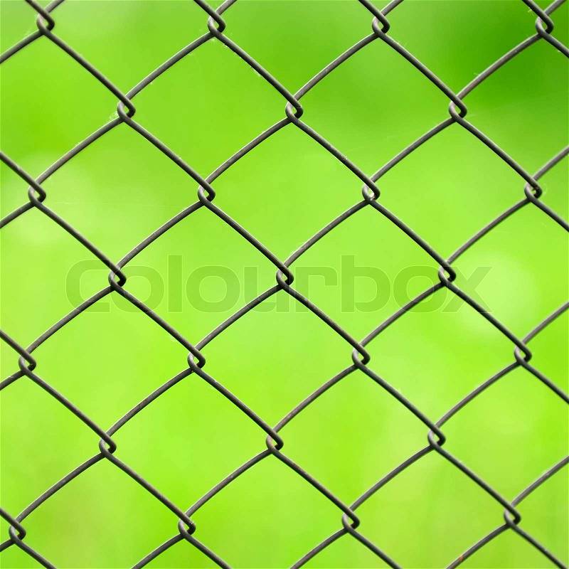 Wire Mesh Fence Close-Up on Green Background, stock photo