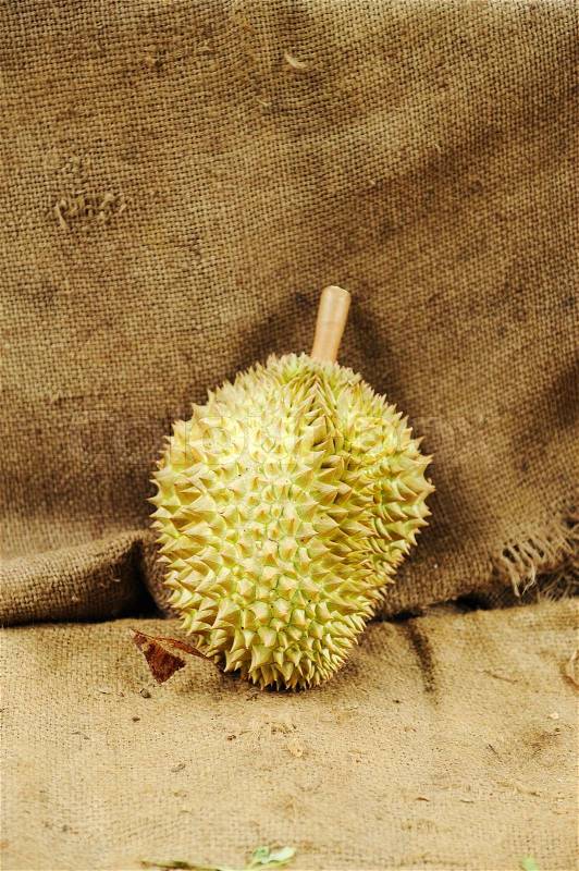Durian king of fruit, stock photo