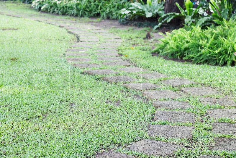 Garden path with grass growing, stock photo