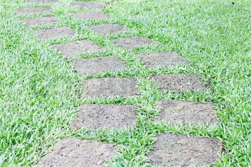Garden path with grass growing, stock photo