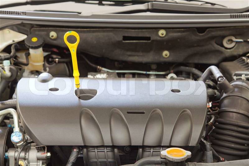 Fluid checker, component of car engine, stock photo