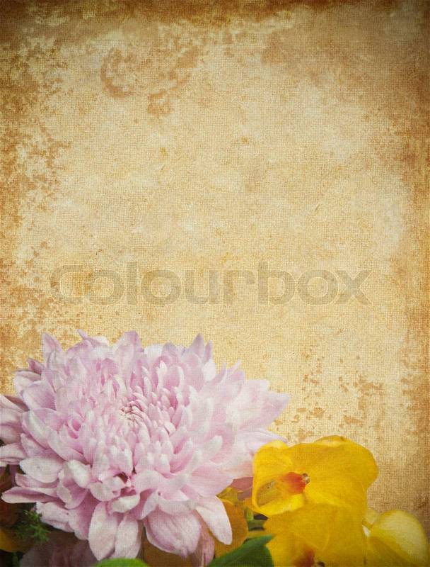 Old grunge paper and flower background, stock photo