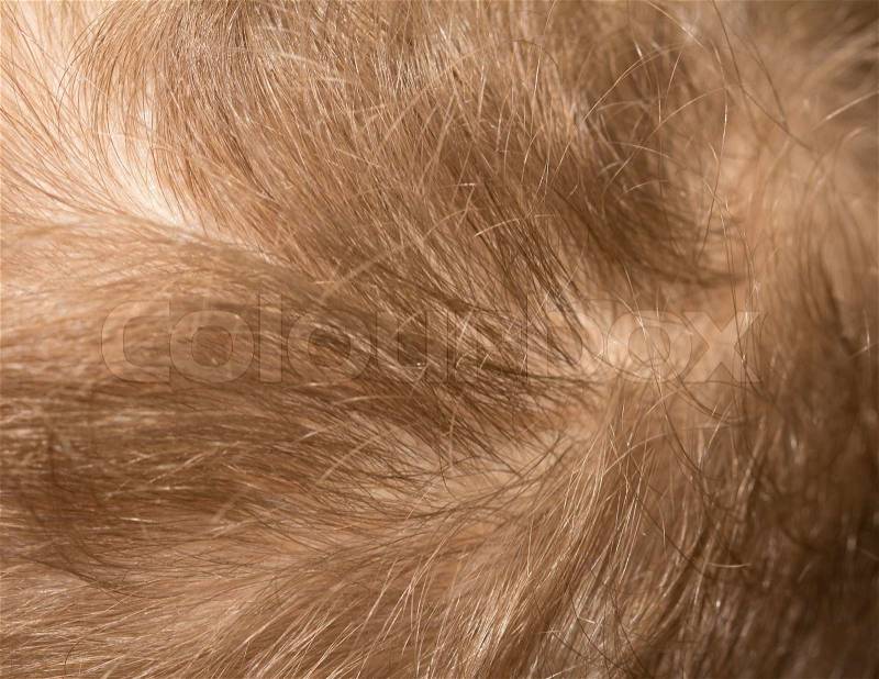 Background of the hair, stock photo