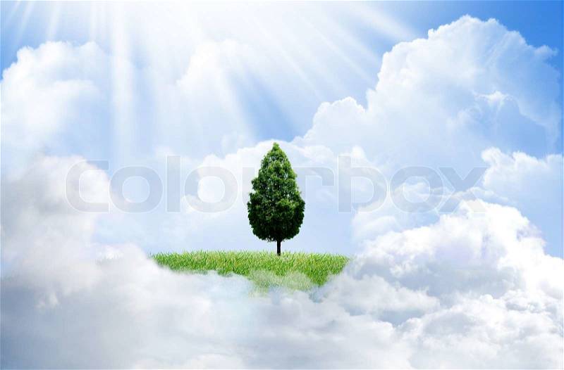 Green grass with tree and cloud sky background, stock photo