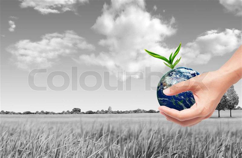 Hand holding sprout with soil,green eco concept, stock photo