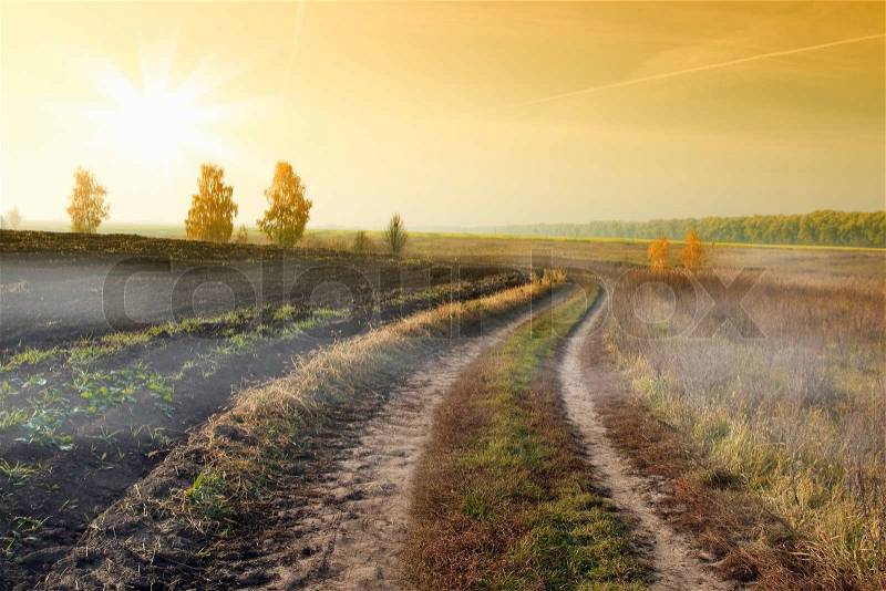 Agriculture landscape with country road, stock photo