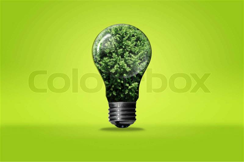 Bulb with tree isolated on white background , green eco concept, stock photo