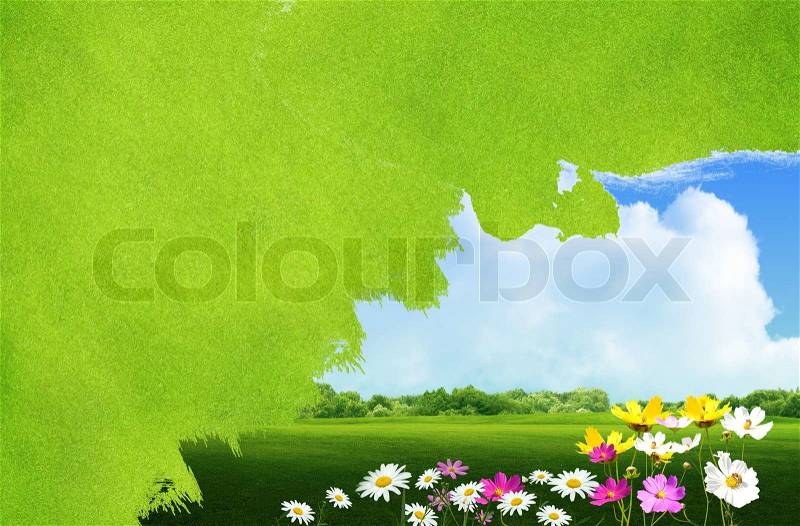 Paint landscape green grass and flower background, stock photo