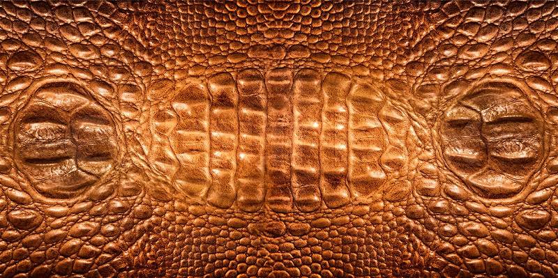 Brown fantastic crocodile skin background, stock photo