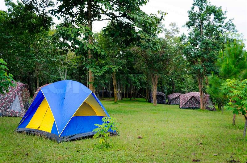 Camping Tent in Jungle, stock photo