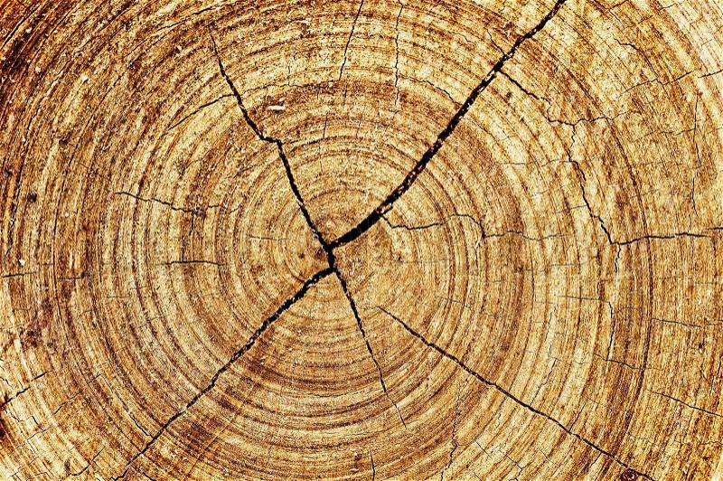 Abstract wood spiral, stock photo