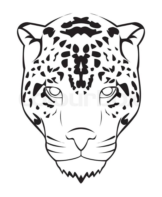 Jaguar Face Stock Vector Colourbox