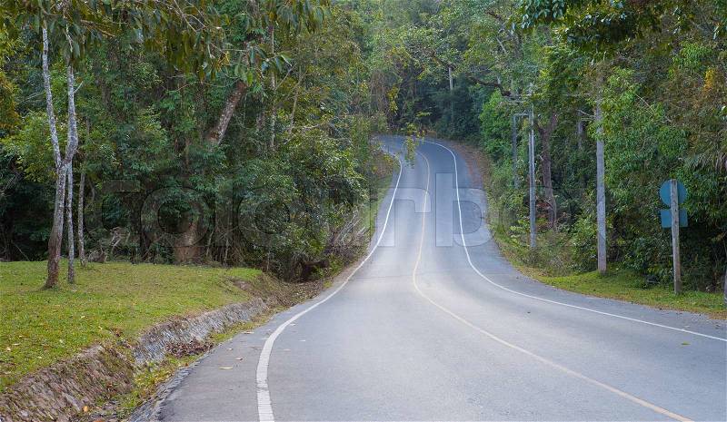 Empty curve road in the forest, stock photo