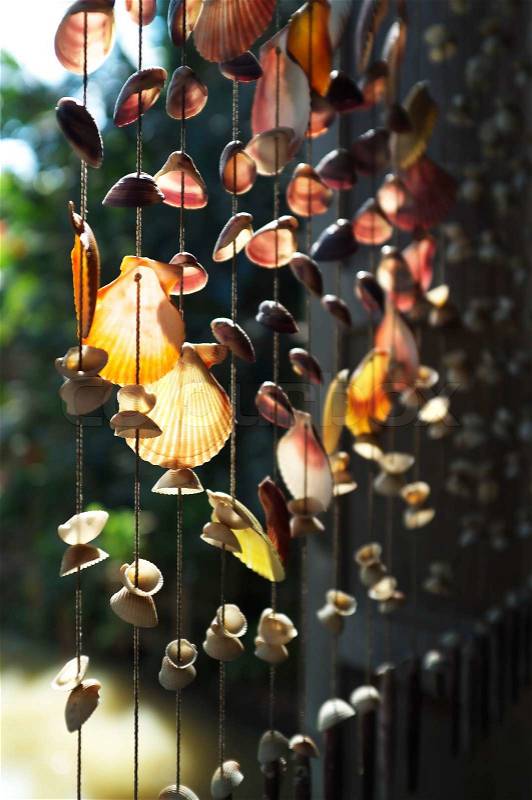 Shells hanging windows, stock photo