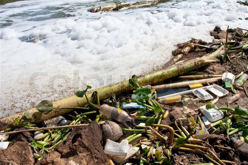 Water pollution - old garbage and pollution in river, stock photo