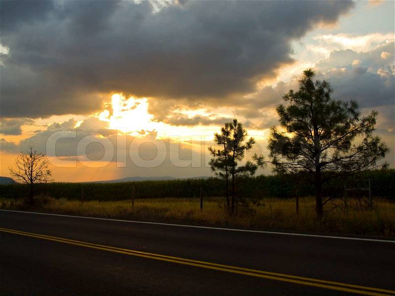 Country Road with the Sun Setting Behind a Corn Field, stock photo