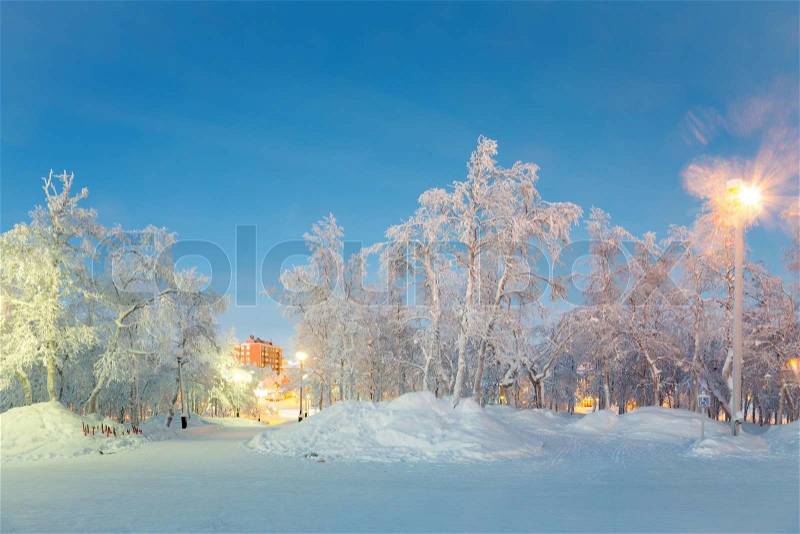 Winter landscape City Garden, stock photo