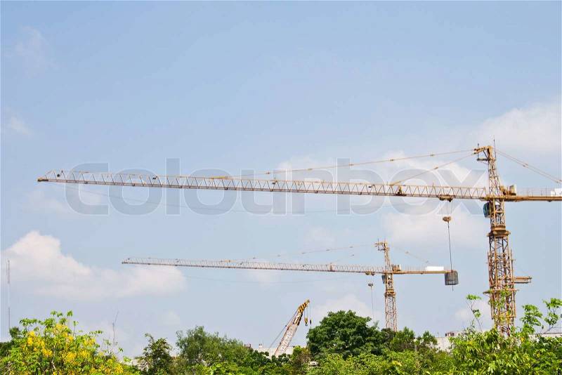 Two Construction Crane over the park, stock photo