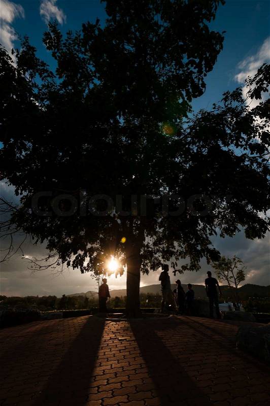 Silhouette of tree and people on hill, stock photo