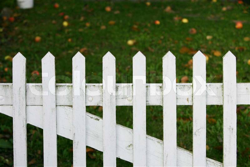 White fence, stock photo