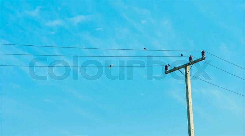 Electricity post in blue sky with bird hold on Electric cable, stock photo