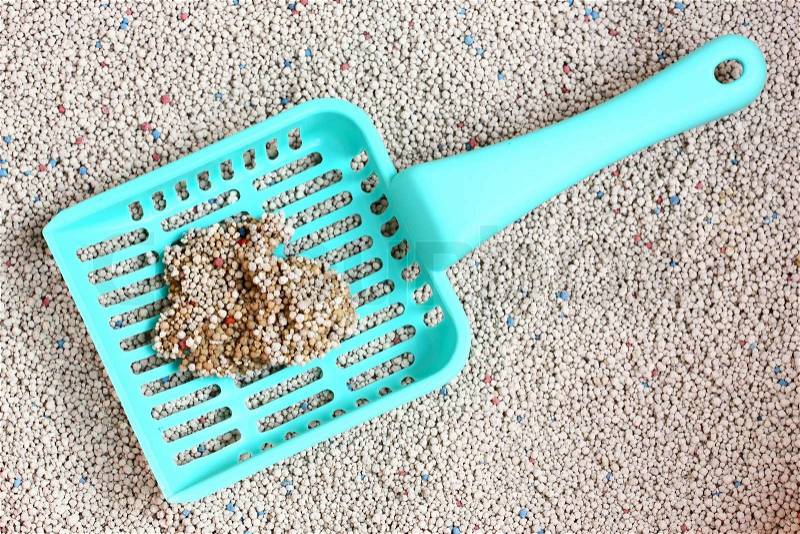 Cat Litter with cat sand scoop, stock photo